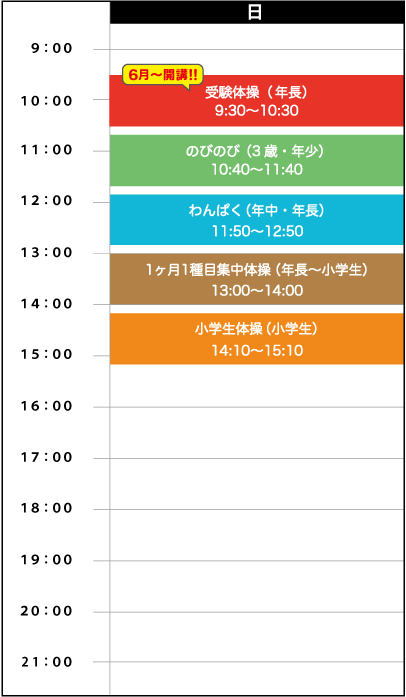 日曜日スケジュール