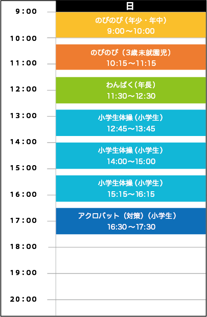 日曜日スケジュール