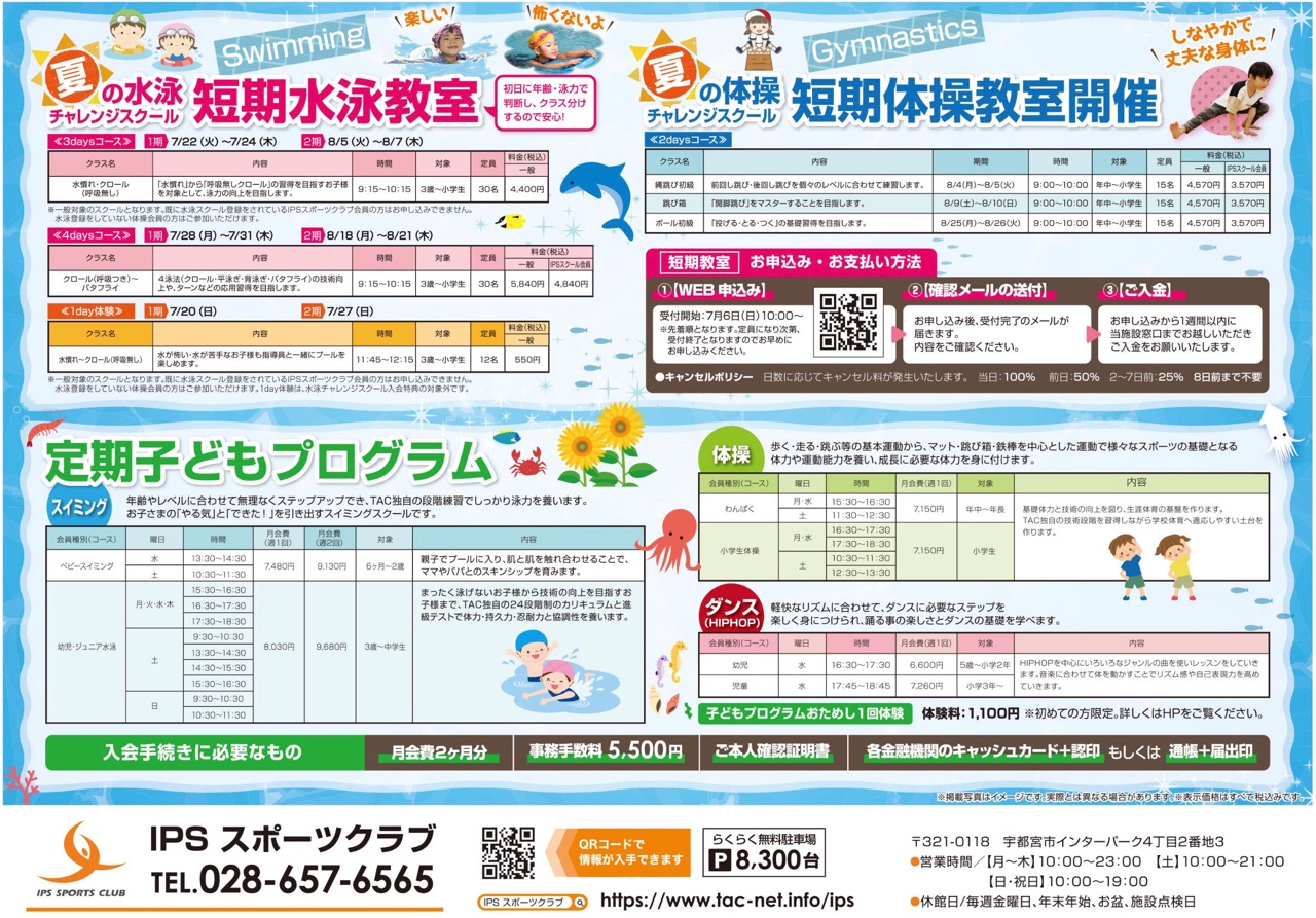 体操チャレンジスクールの様子