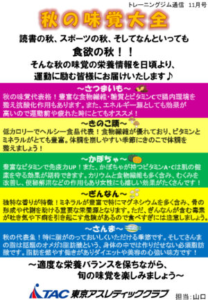 トレジム通信11月号のサムネイル